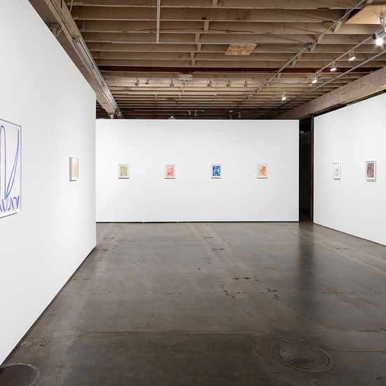 Joe Rudko, Meditations in an Emergency, Install