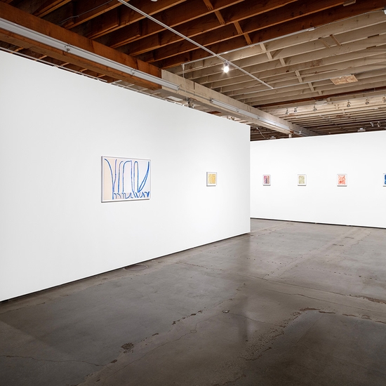 Joe Rudko, Meditations in an Emergency, Install