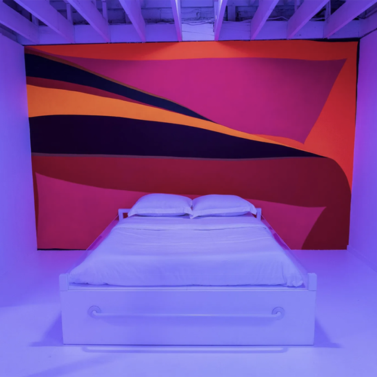 Installation at Museum of Museums