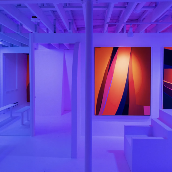 Installation at Museum of Museums