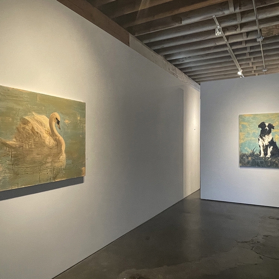 'The Rape of Leda' 2021 Solo Exhibition