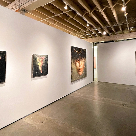 'The Rape of Leda' 2021 Solo Exhibition