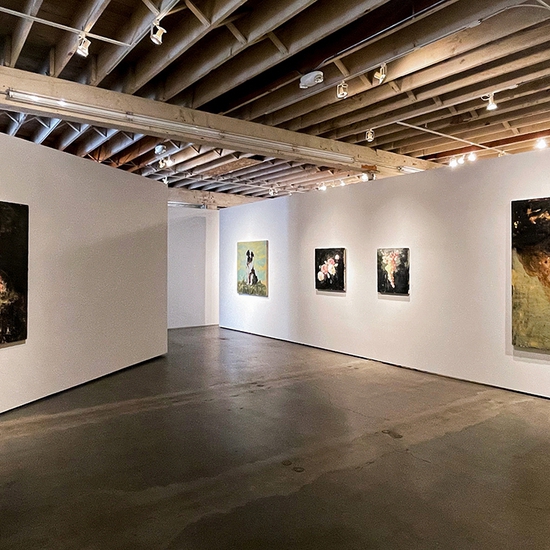 'The Rape of Leda' 2021 Solo Exhibition