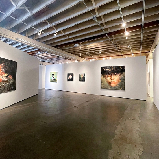 'The Rape of Leda' 2021 Solo Exhibition