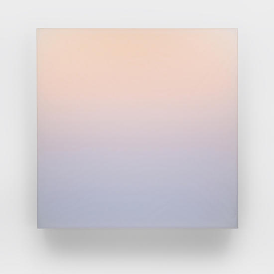 Timothy Schmitz: slab PCLAV, 2021,  Resin, digital pigment inkjet skins and polymers on acrylic, 24 x 24 x 3 inches