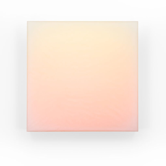 Timothy Schmitz: slab V/2 POSY, 2022, Resin, digital pigment inkjet skins and polymers on acrylic, 24 x 24 x 1 inches