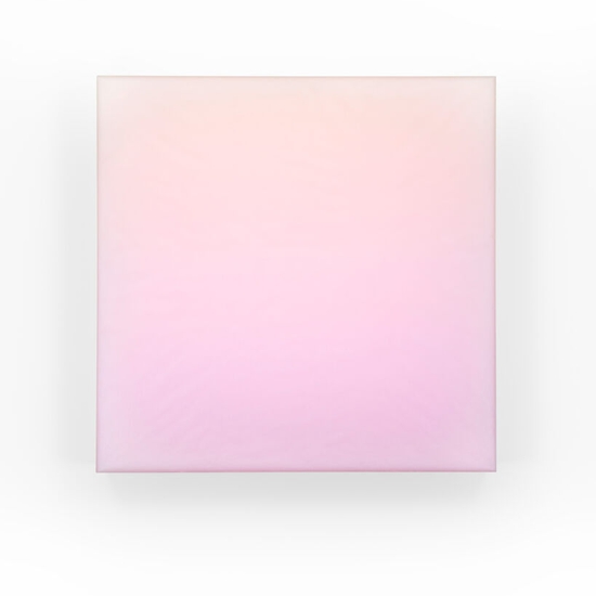 Timothy Schmitz: slab V/2 RPSC, 2022, Resin, digital pigment inkjet skins and polymers on acrylic, 24 x 24 x 3 inches