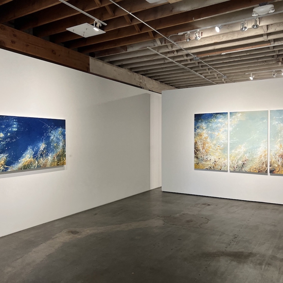 Installation view from Michael Schultheis' exhibition "The Flowers in Fibonacci"