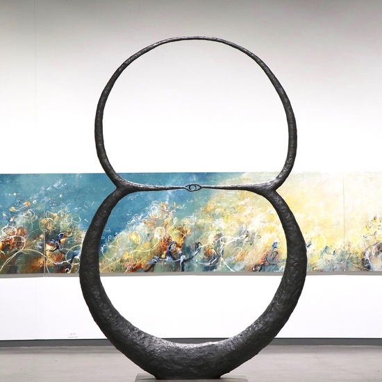 Installation view of Venn Pirouettes at the Jordan Schnitzer Museum of Art at WSU