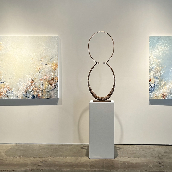 Gallery install of 'Ceva Focus'