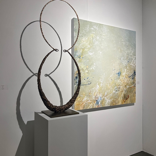 Gallery install of 'Ceva Focus'