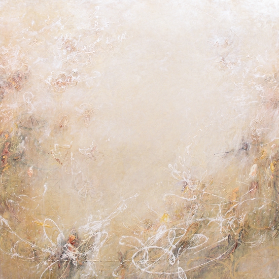 Europa Reveries of Galileo