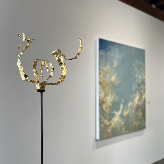 Installation view from Michael Schultheis' exhibition "The Flowers in Fibonacci"