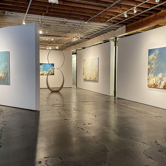 'Vitruvian Breath' 2021 Solo Exhibition