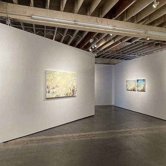 'Vitruvian Breath' 2021 Solo Exhibition