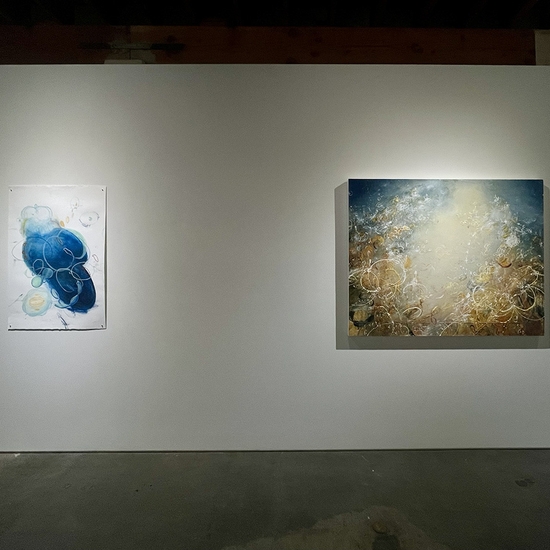 Michael Schultheis, Coherence in Chaos, Install