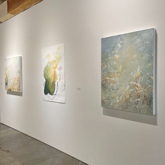 Michael Schultheis, Coherence in Chaos, Install