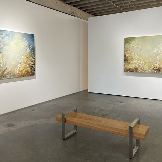 Michael Schultheis, Coherence in Chaos, Install