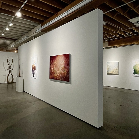 Michael Schultheis, Coherence in Chaos, Install
