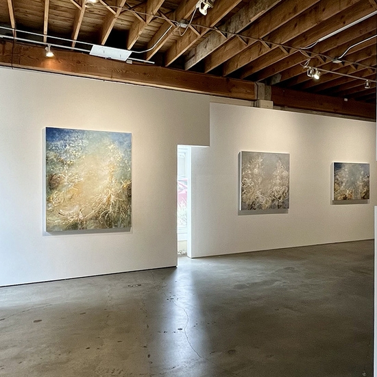 Michael Schultheis, Coherence in Chaos, Install