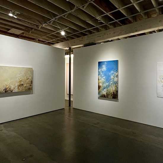 Michael Schultheis, Coherence in Chaos, Install