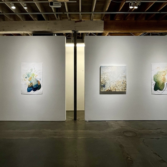 Michael Schultheis, Coherence in Chaos, Install
