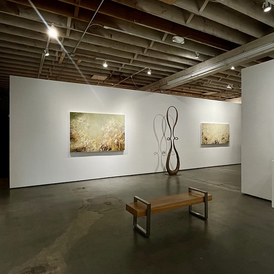 Michael Schultheis, Coherence in Chaos, Install