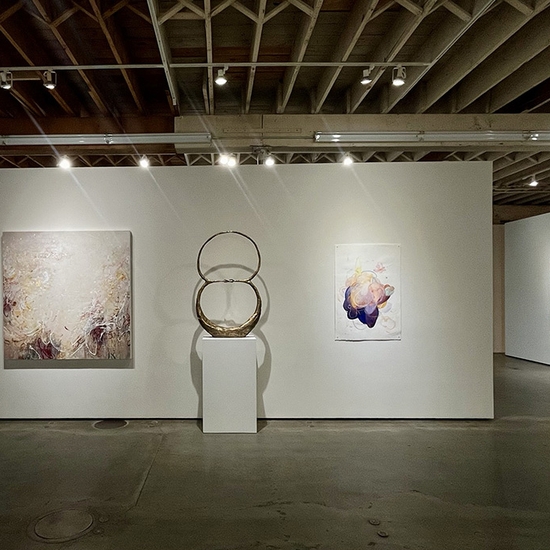 Michael Schultheis, Coherence in Chaos, Install