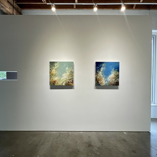 Michael Schultheis, Coherence in Chaos, Install