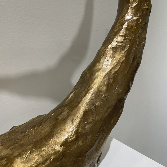 Detail of 'Venn Fidelities Coupling'