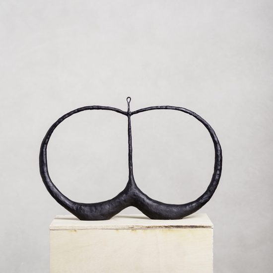 Michael Schultheis: Venn Pleasures (ρ=α+βsin(θ), α=49, β=52), 2017, Bronze, 17 x 25 x 2 inches