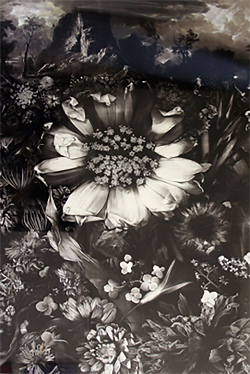 Rick Shaefer, Untitled, 1993, Ink on paper, 49 x 37 inches