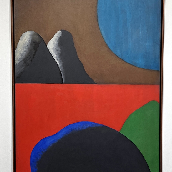 Stuart Silk, Untitled 6-25, 2025, Oil on canvas, 48 x 36 x 1.5 inches, Framed size 49.5 x 37.5 x 2.5 inches