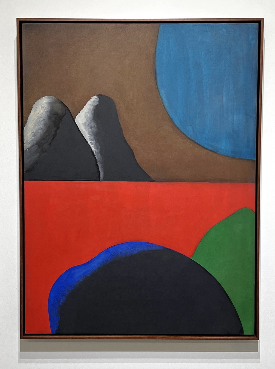 Stuart Silk, Untitled 6-25, 2025, Oil on canvas, 48 x 36 x 1.5 inches, Framed size 49.5 x 37.5 x 2.5 inches