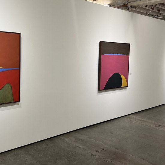 Stuart Silk, Transitory Light, Install