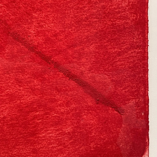 Detail of 'Three Red Flowers May 10, 1997'