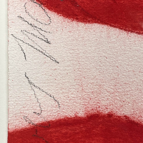 Detail of 'Three Red Flowers May 10, 1997'