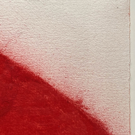 Detail of 'Three Red Flowers May 10, 1997'