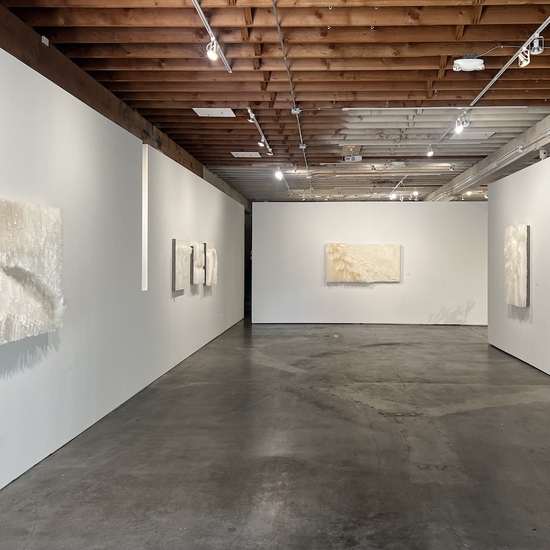 'Letters From Earth and Sky' Solo 2024 Exhibition