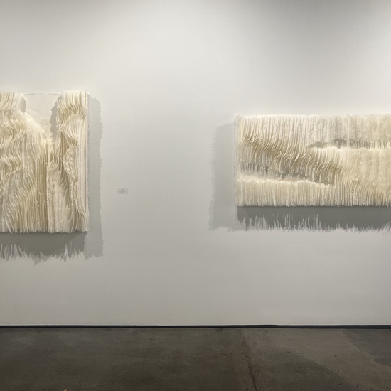 Installation of 'Quantum Healing and 'Bridging the Chasm'