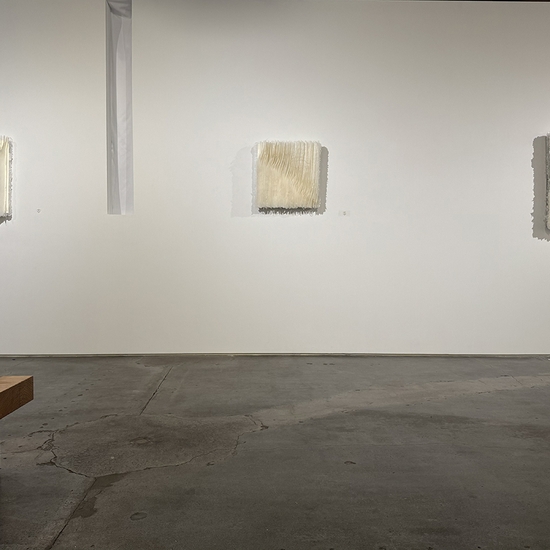 Kandis Susol, Navigating The Thin Veil, Install