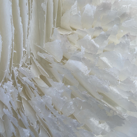 Detail of 'Year of the Dragon'