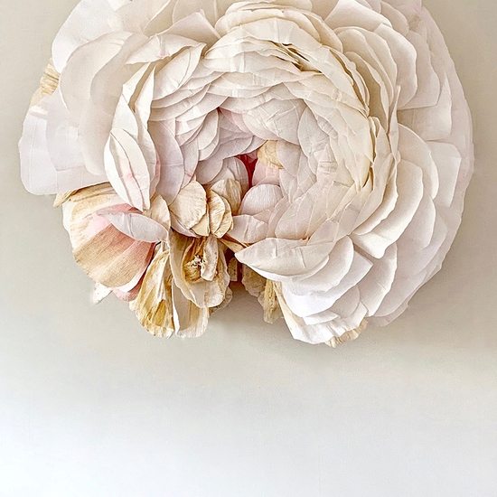 Tiffanie Turner: Specimen C Ranunculus, 2019, Paper, 35 x 35 x 19 inches