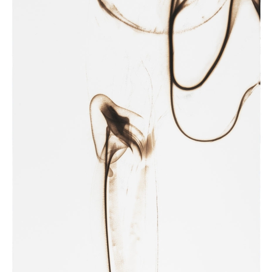 Etsuko Ichikawa: Trace 0816, 2016, Glass pyrograph on paper, 62 x 22.5 inches