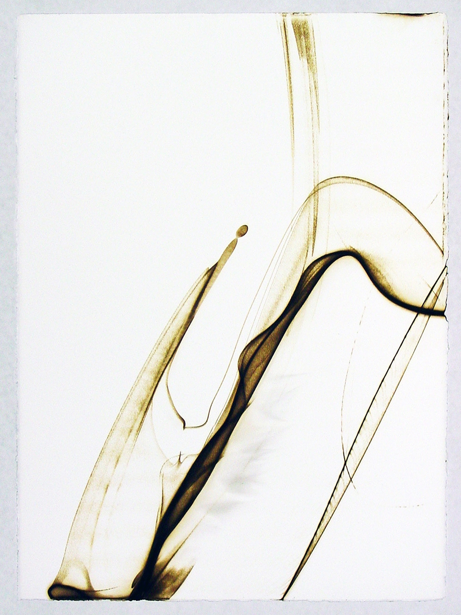 Etsuko Ichikawa: Trace 2057, 2007, Glass pyrograph on watercolor paper, 30 x 22.5 inches