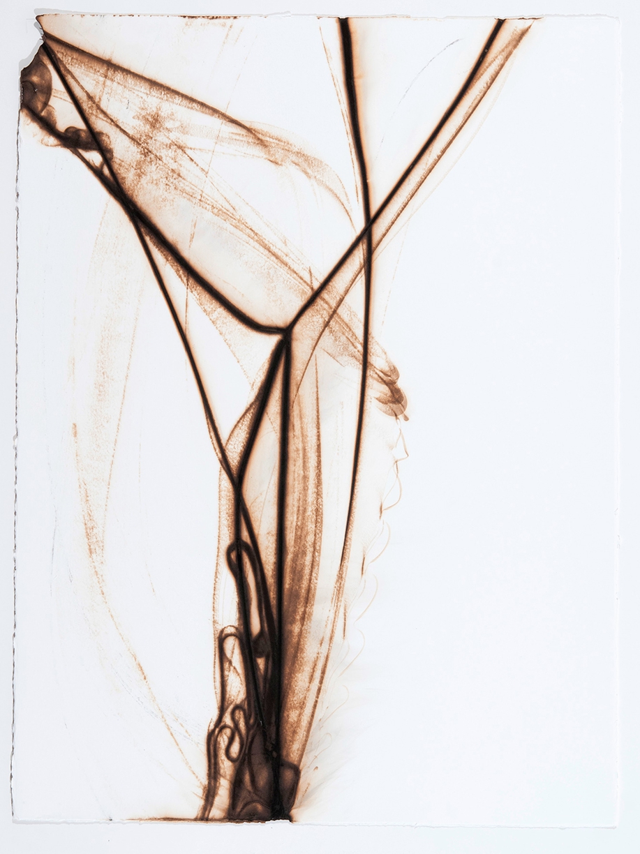 Etsuko Ichikawa: Trace 4812, 2012, Glass pyrograph on watercolor paper, 30 x 22.5 inches