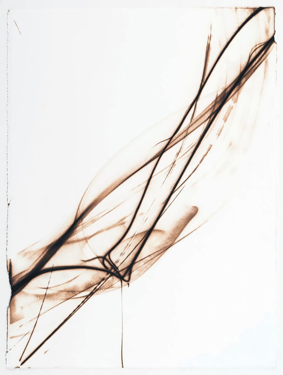 Etsuko Ichikawa: Trace 8111, 2011, Glass pyrograph on watercolor paper, 30x 22.5 inches