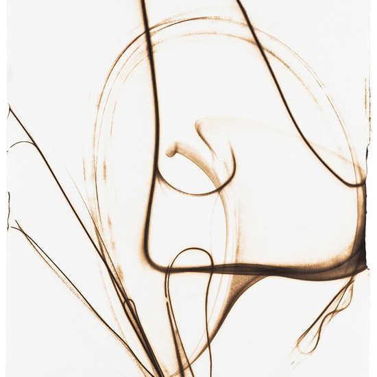 Trace 8413