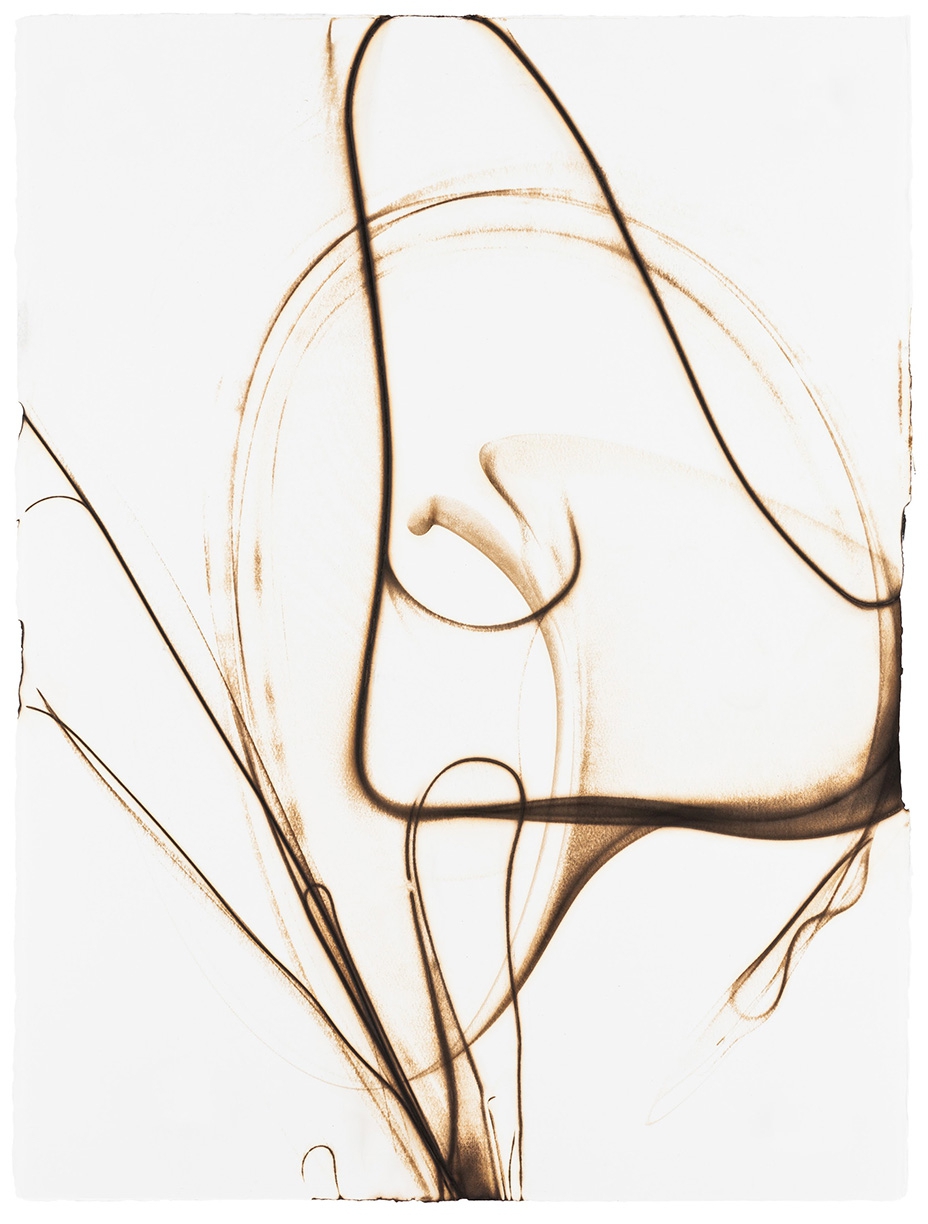 Etsuko Ichikawa: Trace 8413, 2013, Glass pyrograph on watercolor paper, 30 x 22.5 inches