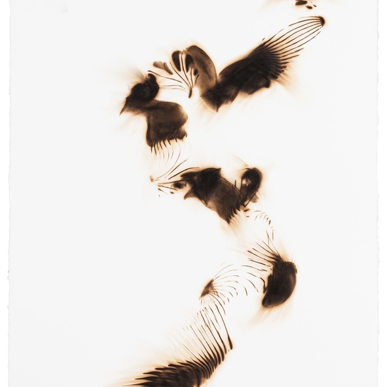 Etsuko Ichikawa: Trace 0814, 2014, Glass pyrograph on paper, 30 x 22.5 inches